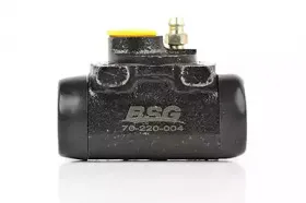 BSG 70-220-004 BSG